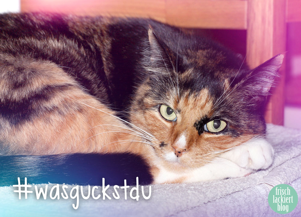 Lucky_01