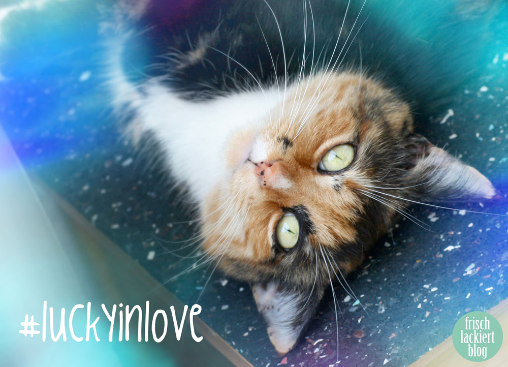 Lucky_04