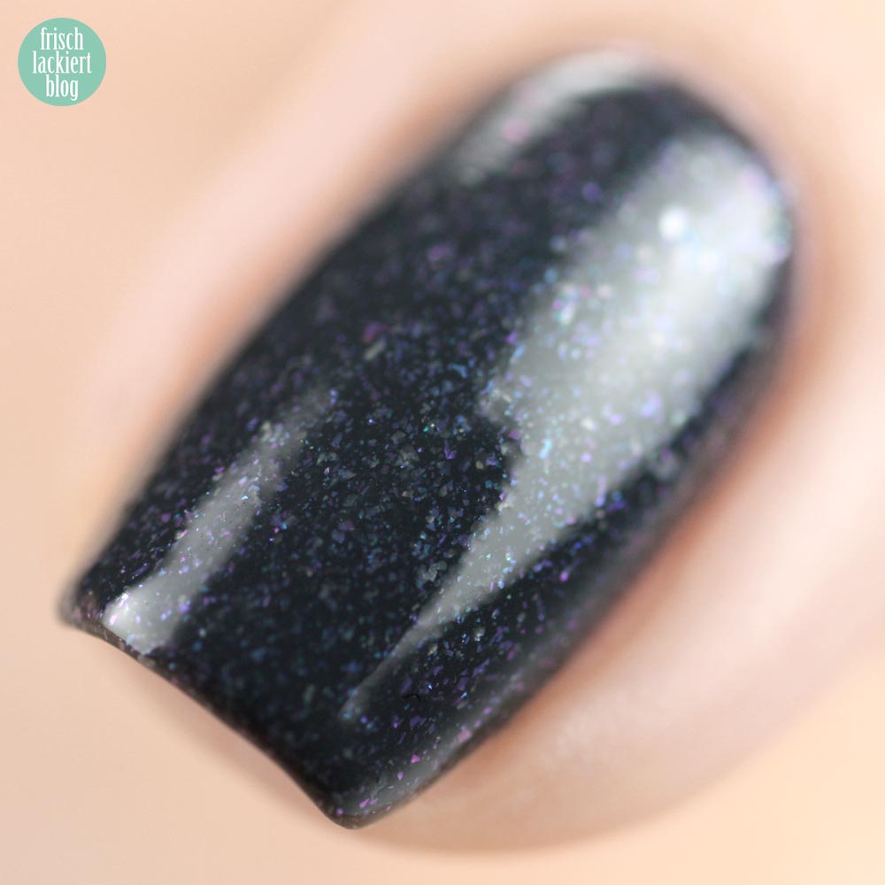 picture polish blue dog