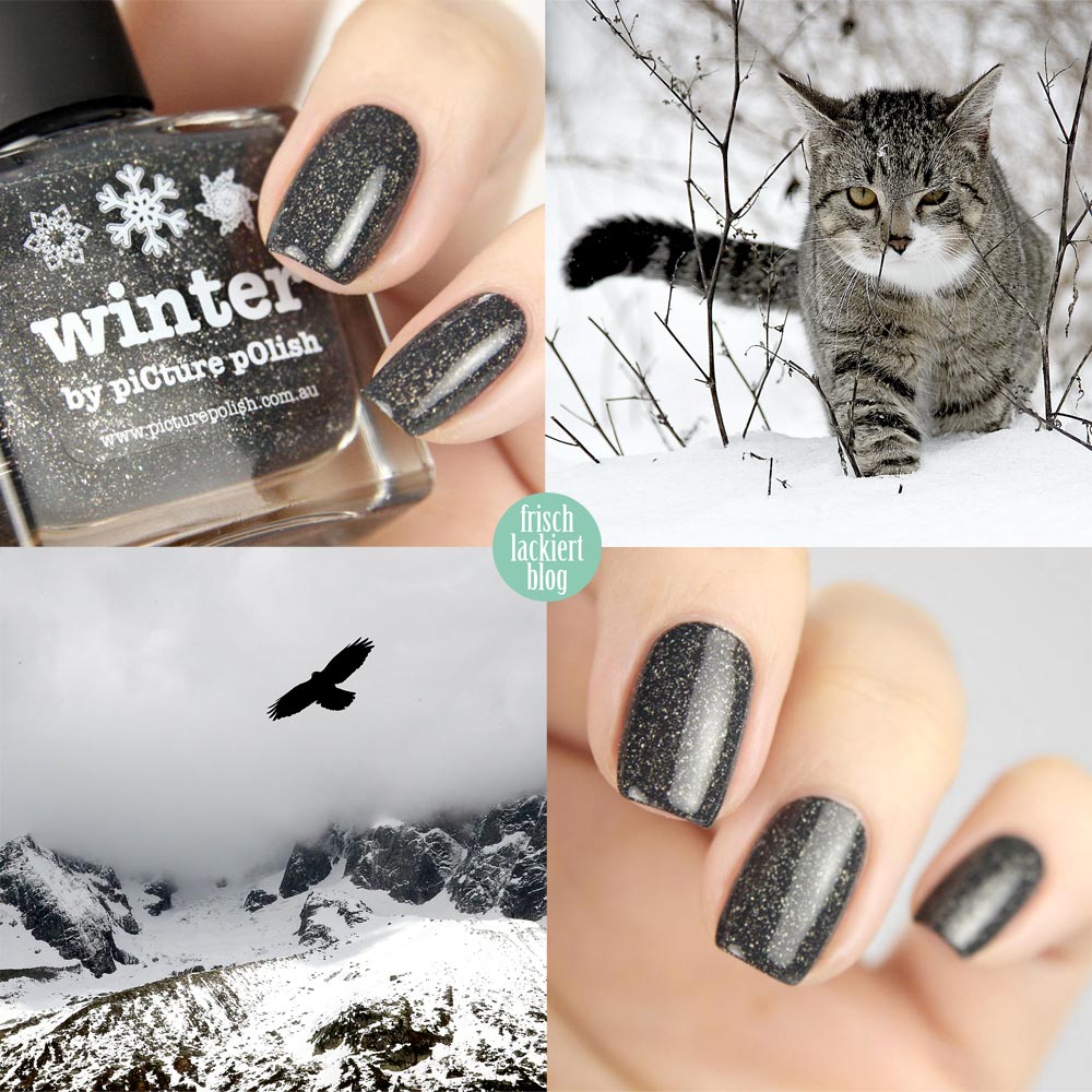 Picture Polish Winter Swatch