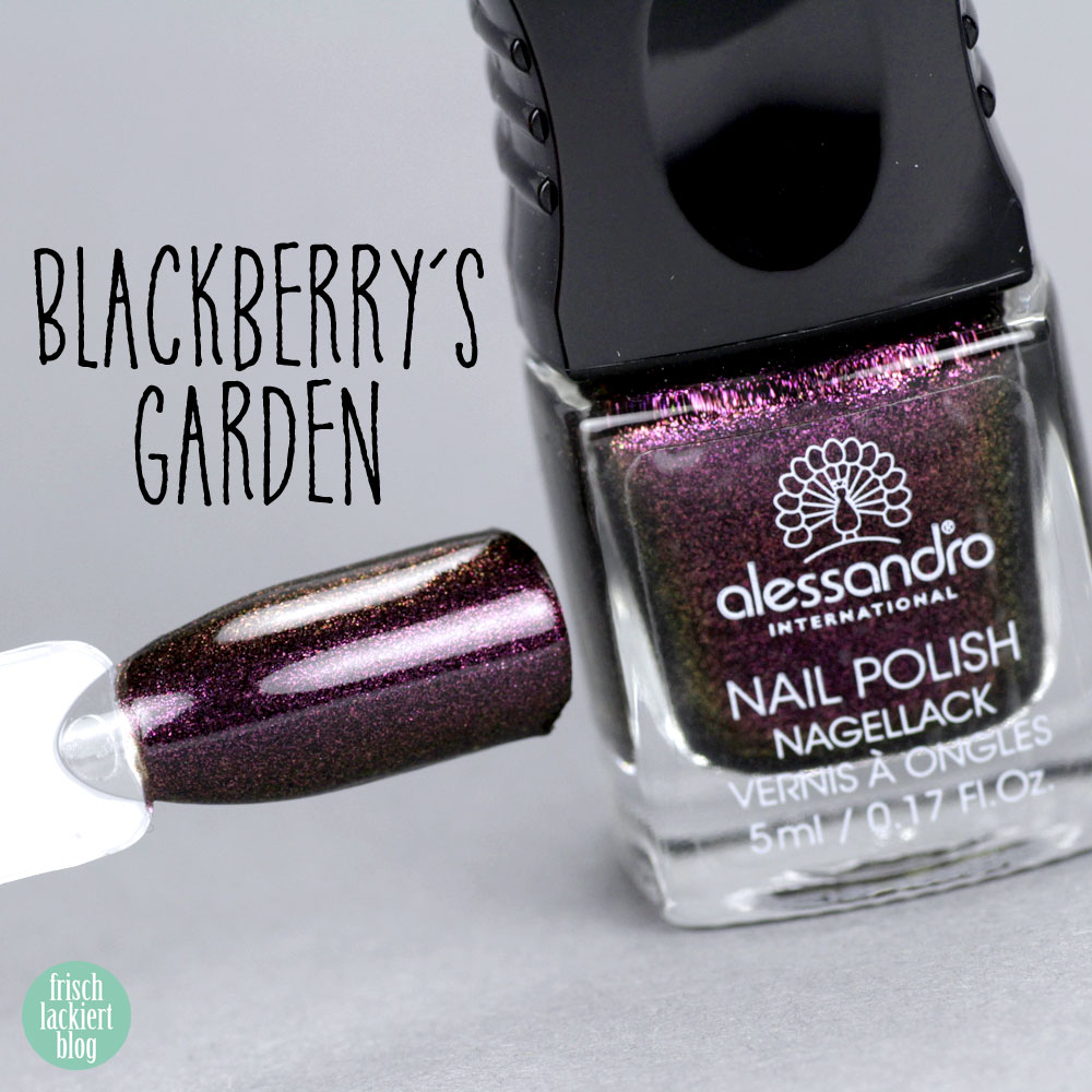 Alessandro Nagellack – Herbst Kollektion 2018 – Summer Berries – Blackberry´s Garden – Violetter Flakie Glitzer – swatch by frischlackiert