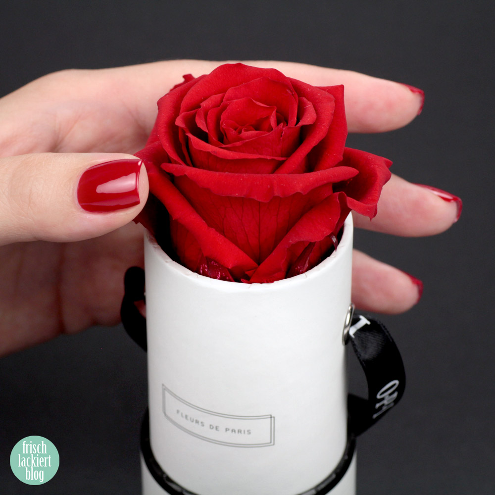 OPI Infinite Shine Nagellack – Apple Red – Test Haltbarkeit – Erfahrungsbericht – swatch by frischlackiert