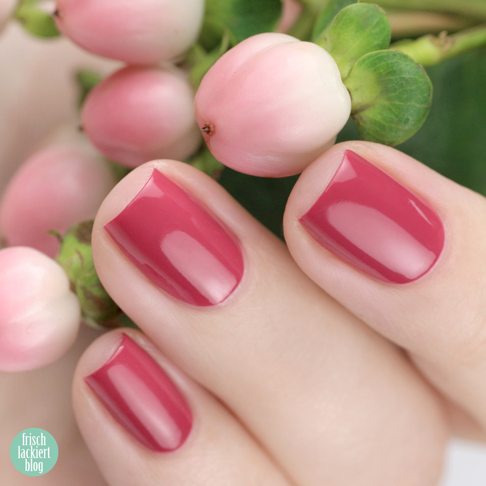 ANNY La La Life Kollektion – La La Life – Frühling 2019 – Nagellack – swatch by frischlackiert