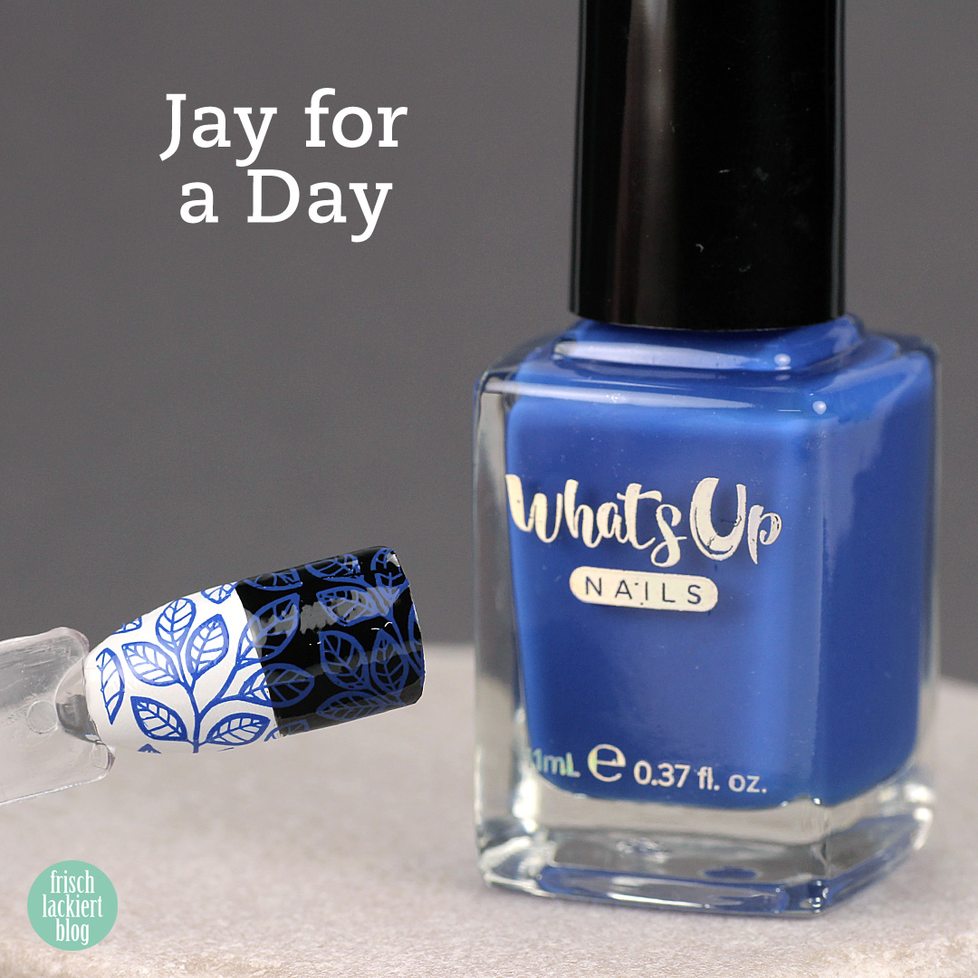 Whatsup Nails Stamping Polish - Jay for the Day - Review - by frischlackiert
